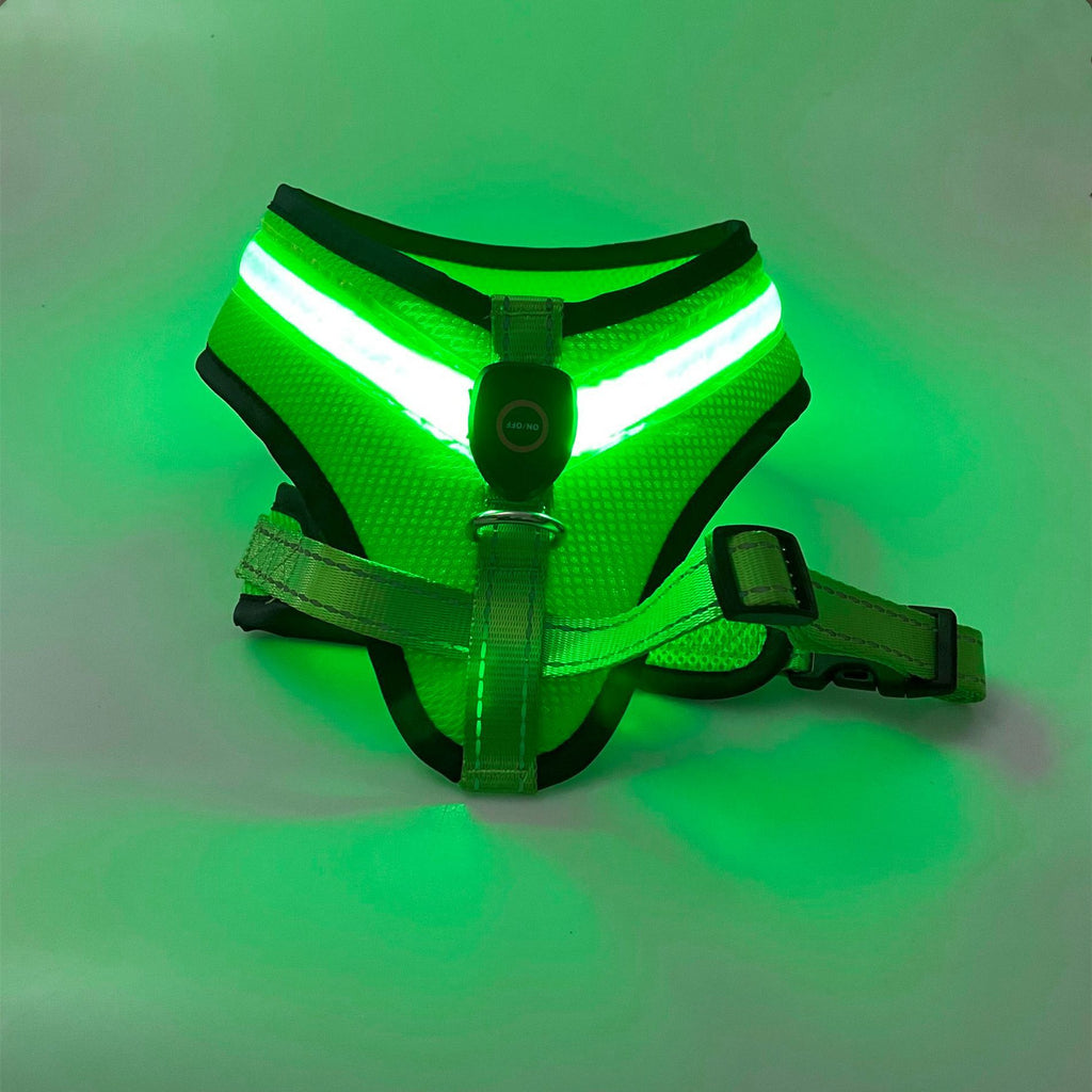 USB Rechargeable LED Dog Safety Harness