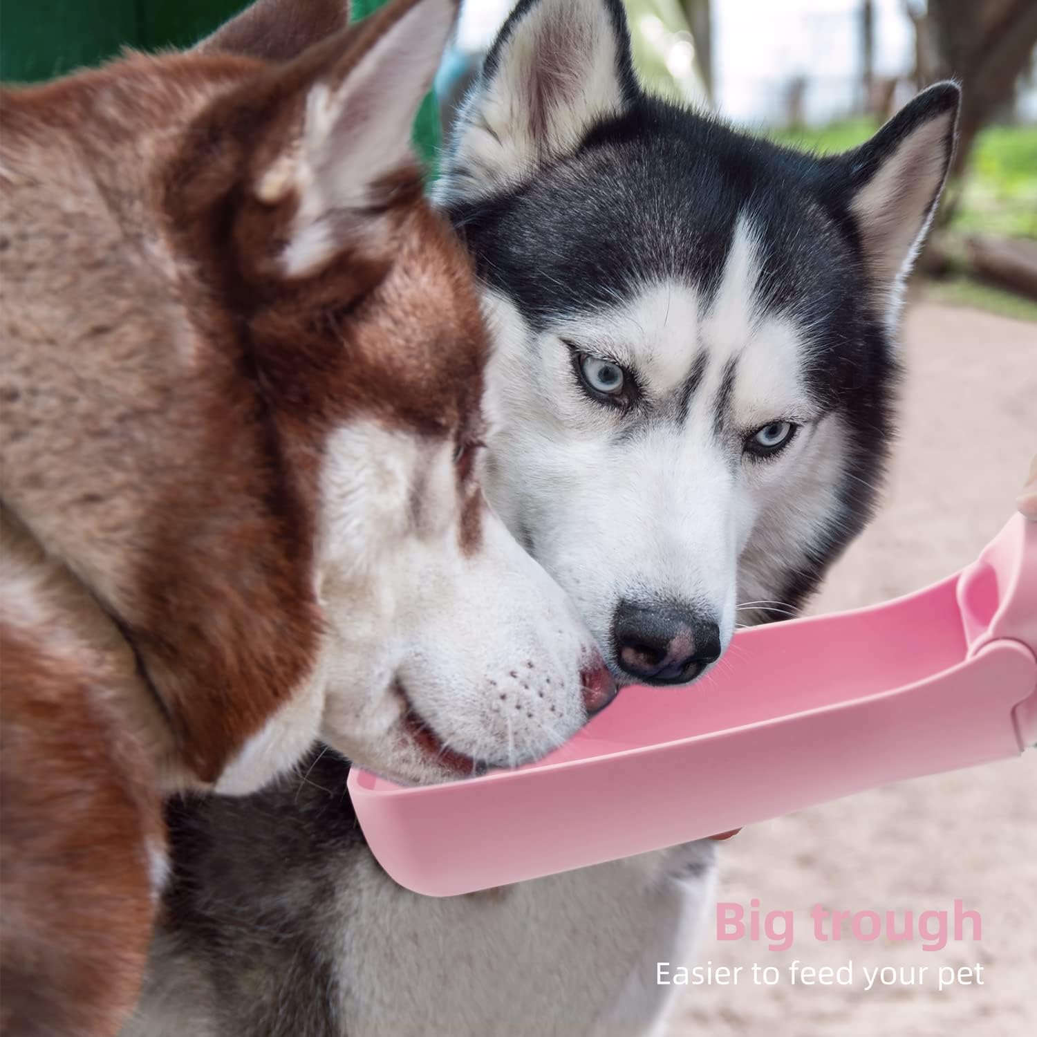 Portable Leak-Proof Dog Water Bottle & Foldable Travel Bowl