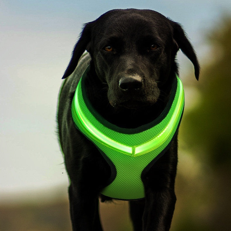 USB Rechargeable LED Dog Safety Harness